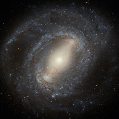 Futureproof With Jonathan Mccrea