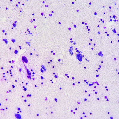 Futureproof With Jonathan Mccrea