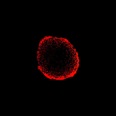 Futureproof With Jonathan Mccrea