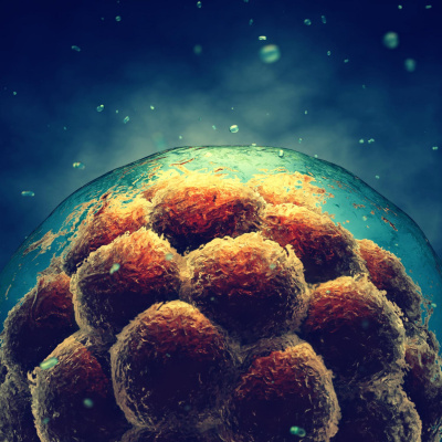 Futureproof With Jonathan Mccrea