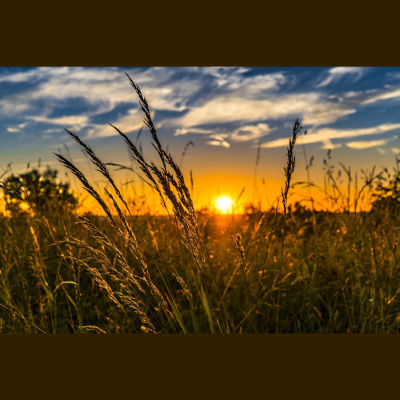 Futureproof With Jonathan Mccrea