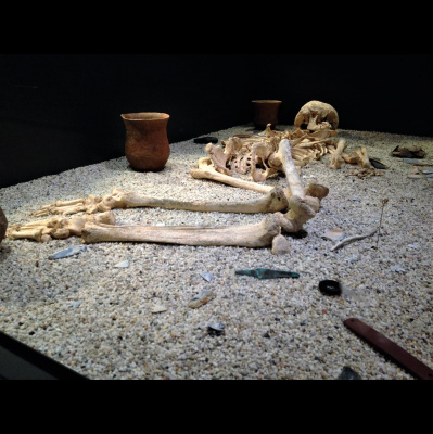 Futureproof With Jonathan Mccrea