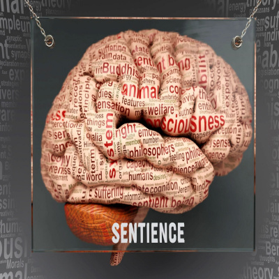 Futureproof With Jonathan Mccrea