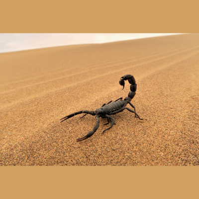 Futureproof With Jonathan Mccrea