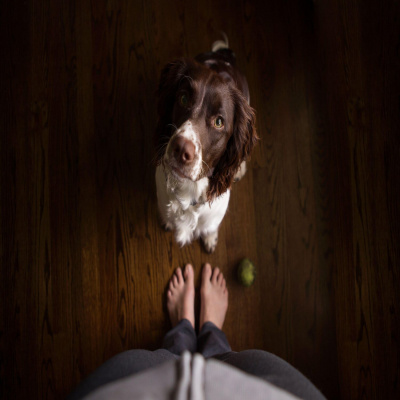 Futureproof With Jonathan Mccrea