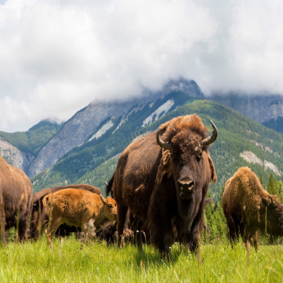 Futureproof With Jonathan Mccrea