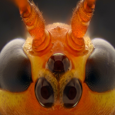 Futureproof With Jonathan Mccrea