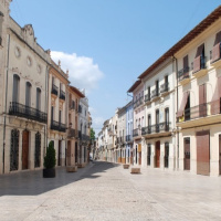 T1x36 El crim del lloro en Canals (El Rall Àpunt)