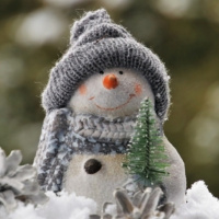 T1x16. Esperits benèfics dhivern. Terra Llegendària -4-01-22 (El rall, Àpunt Ràdio)