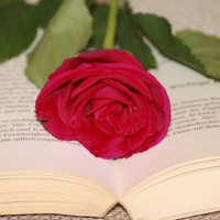 P. 3x25 (26.04.19). Sant Jordi. El valencià que inventà el Dia del Llibre.