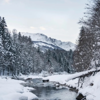 TLL 3x11 Llegendes de desembre