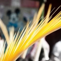 TLL 2x27 El secret de la Palma blanca dElx