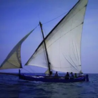 T1x35 Les bruixes marineres (el Rall - Àpunt)