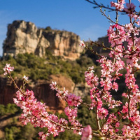 TLL 2x26 Llegendes de la primavera