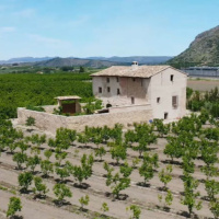 T1X42 Nit de Sant Joan en Casa Cuesa. Especial. El rall -Àpunt