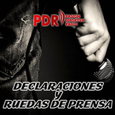 Declaraciones Y Ruedas De Prensa