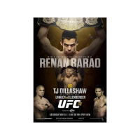 411 Ground and Pound Radio Show: UFC 173 Preview