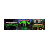LRTR: Teenage Mutant Ninja Turtles 1990 - 1993