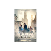 Damn You Hollywood: Fantastic Beast and Where to Find Them Review