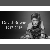 David Bowie Tribute