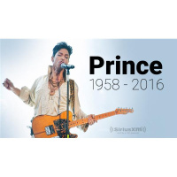 Prince Tribute