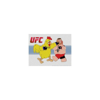 411 Ground and Pound Radio: UFC 169 Review