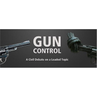 All About Guns (EveryJoe Podcast)