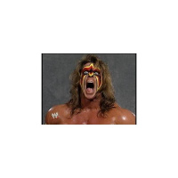 In Defense of the Ultimate Warrior