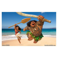 Damn You Hollywood: Moana