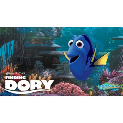 Radulich In Broadcasting Network