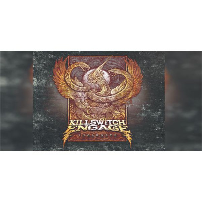 Radulich In Broadcasting Network