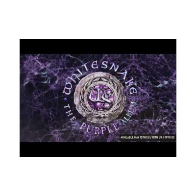 Radulich In Broadcasting Network