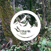 Немного о себе и TravelCut. (1) 