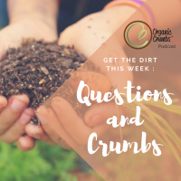 E32: Questions and Crumbs (Digging through the Mail Bag!)