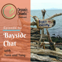 E50: Bayside Chat-What Does Recovery Look Like?