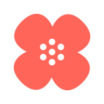 Näkövammaisten Liitto