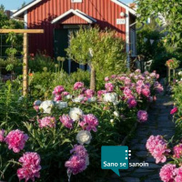 #KuvaileSuomi: Marjaniemen siirtolapuutarha, Helsinki