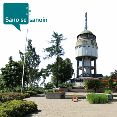 Näkövammaisten Liitto