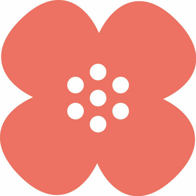 Näkövammaisten Liitto