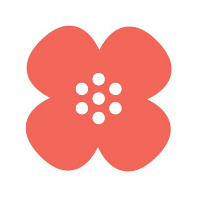 Näkövammaisten Liitto