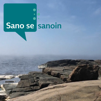 Näkövammaisten Liitto