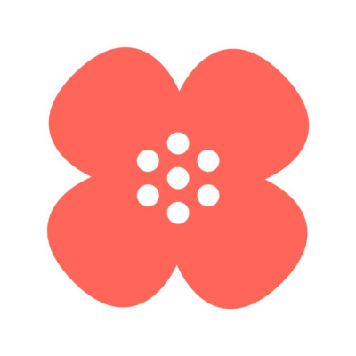 Näkövammaisten Liitto