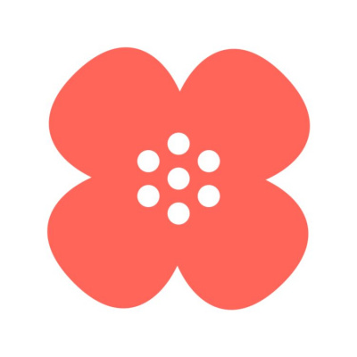 Näkövammaisten Liitto