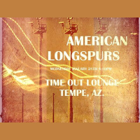 The Hay Girls Show: American Longspurs