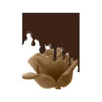 Getting Sticky with the Chocolate Rose Gang of Authors