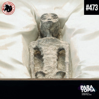 A Possível Descoberta dos Aliens no Peru | MFC 473