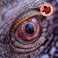 O Sombrio Folclore Nacional 2 | MFC 146