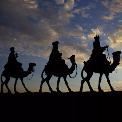 Banquete Del Dr. Zagal