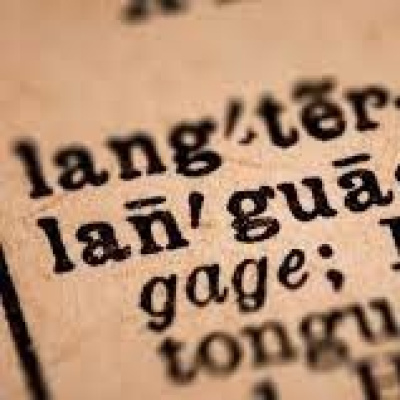 Banquete Del Dr. Zagal