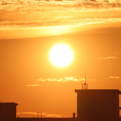 Banquete Del Dr. Zagal